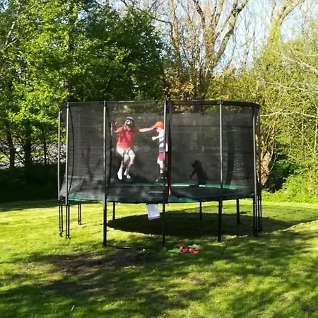 Harderdomizile- 1 * Tetenbull